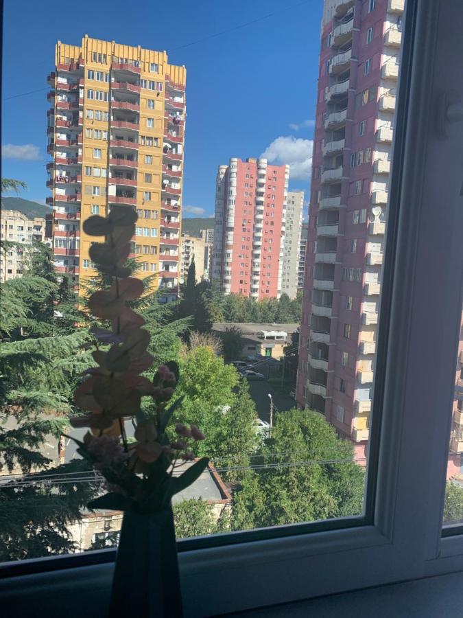 Apartments Of Gregoryan Тбилиси Экстерьер фото